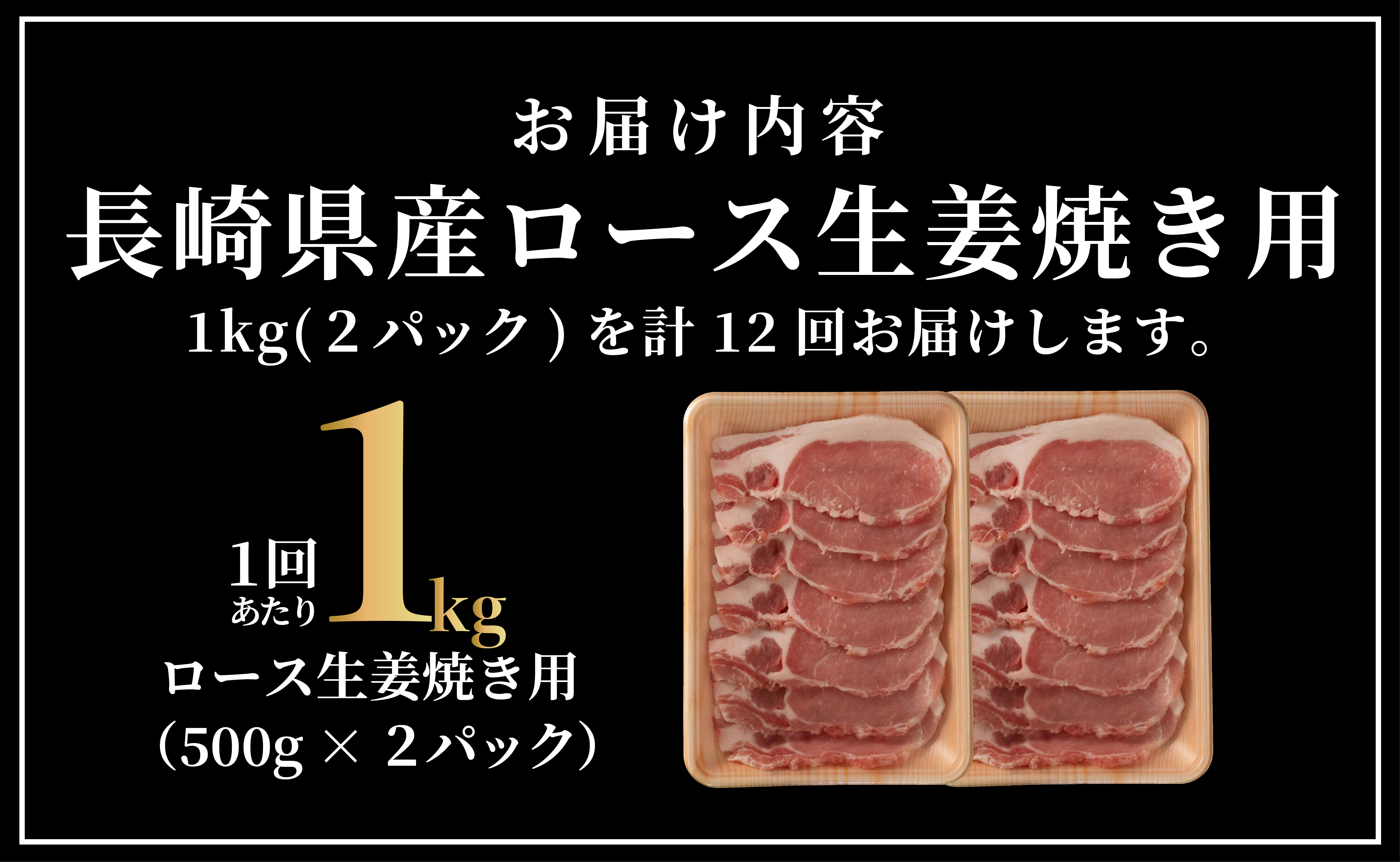 B608《定期便》長崎県産豚 ロース生姜焼き用 計1kg (500g×2)【12回お届け】