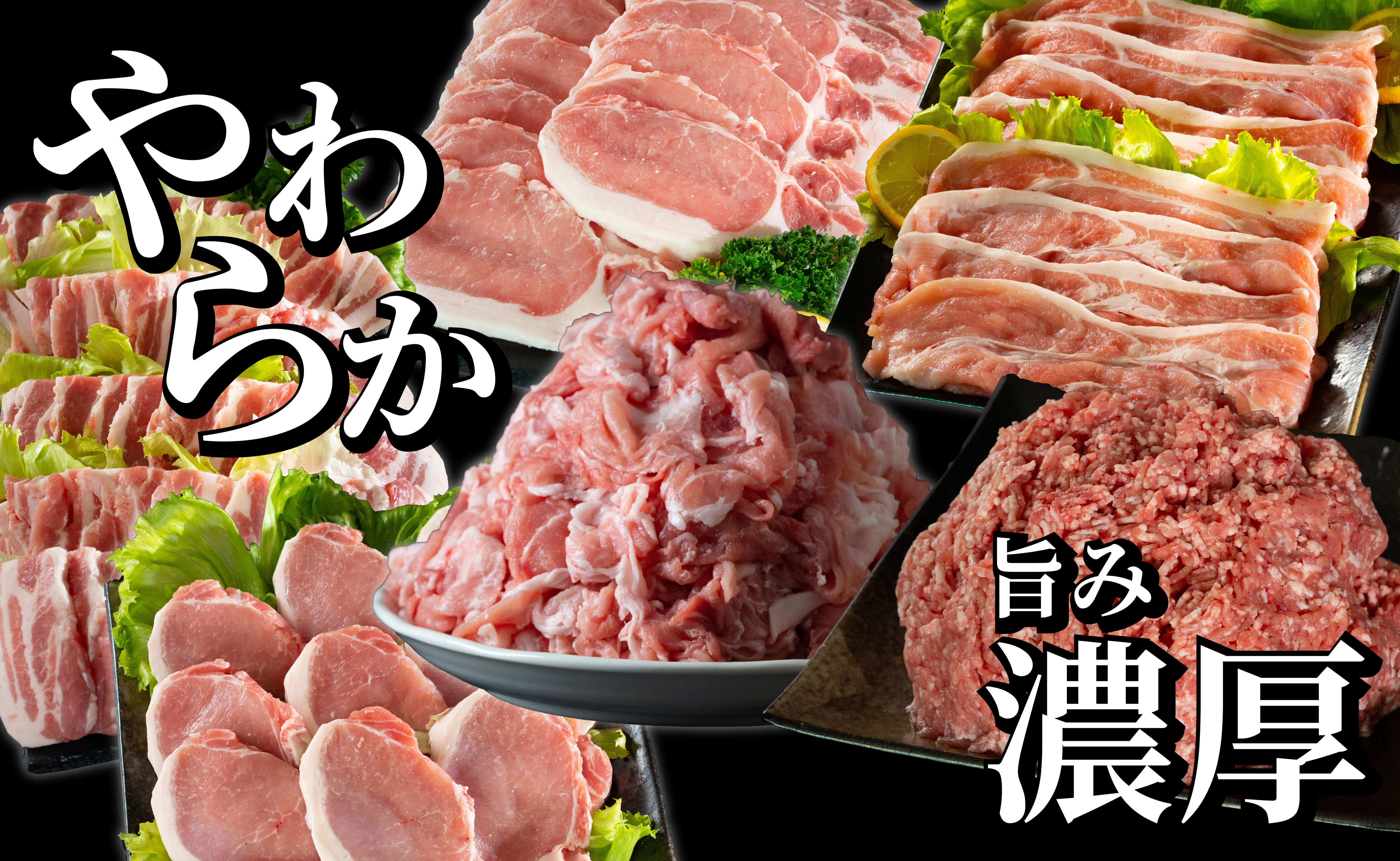 B622《定期便》長崎県産豚 食べ比べ 竹コース【6回お届け】