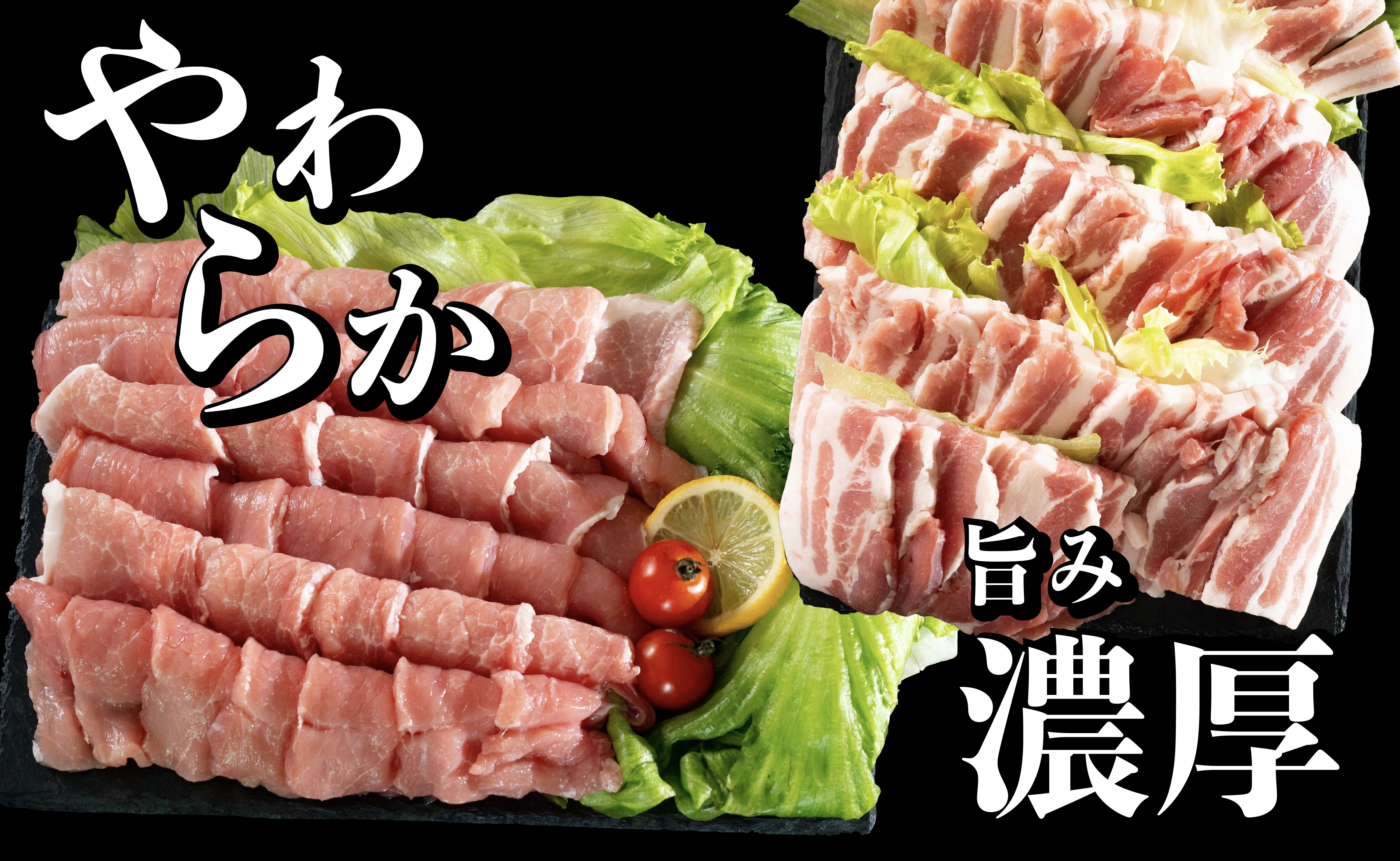 B601 長崎県産豚　バラ･ロース 焼肉用 2種食べ比べ 計1kg(バラ500g×1･ロース500g×1)