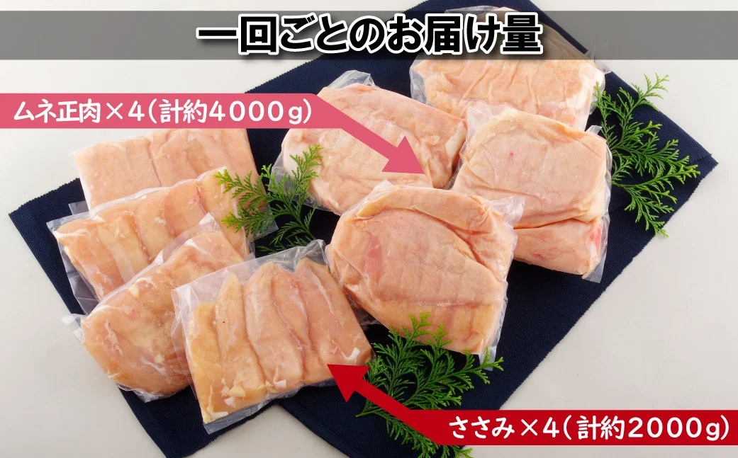 【鶏肉むね・ささみセット 3回定期便】ながさき福とり 鶏肉正肉セット (計6,000g) 総計18kg【長崎福鳥】小分け 真空冷凍 冷凍 定期便 むね ムネ ささみ ササミ ハーブの力で健康に育てたブランド鶏