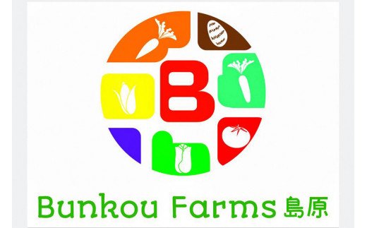 BF112 10月下旬から出荷！「幻の朝どれホワイトコーン！」Mサイズ以上×18本以上【全国的にも珍しい秋季出荷】