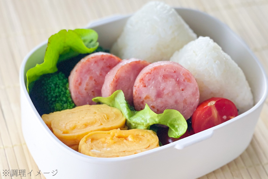 【BH021】 島原ハム　ポークソーセージ5本セット 【 ソーセージ ポークソーセージ セット 島原市 】