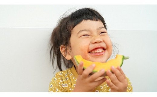 CF108【令和8年度出荷分】マルセイユメロン～島原風香～（4L×2玉）[農事組合法人　『舞岳の里』生産組合 長崎県 島原市 CF108] メロン 赤肉 果物 くだもの フルーツ 産地直送