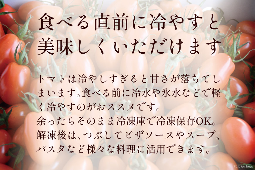 BG138【3回定期便】全国にファンがいる高級フルーツトマト アイコ どっさり！3kg