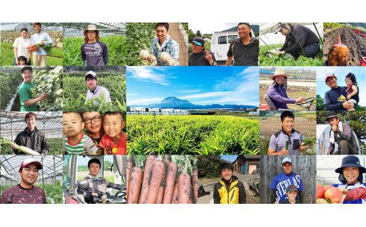 BF113 10月下旬から出荷！「幻の朝どれホワイトコーン！」Lサイズ以上×5本セット【全国的にも珍しい秋季出荷】