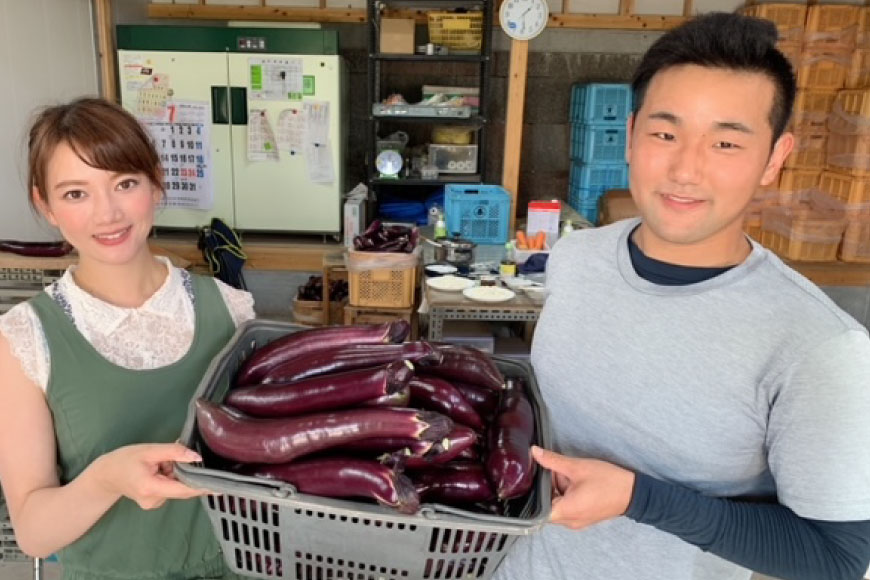 BF004【令和8年度出荷分】皮までおいしい！島原 大長ナス 5kg [ なす ナス 茄子 なすび 野菜 長ナス 天ぷら 焼き茄子 味噌汁 産地直送 長崎県 島原市 ]