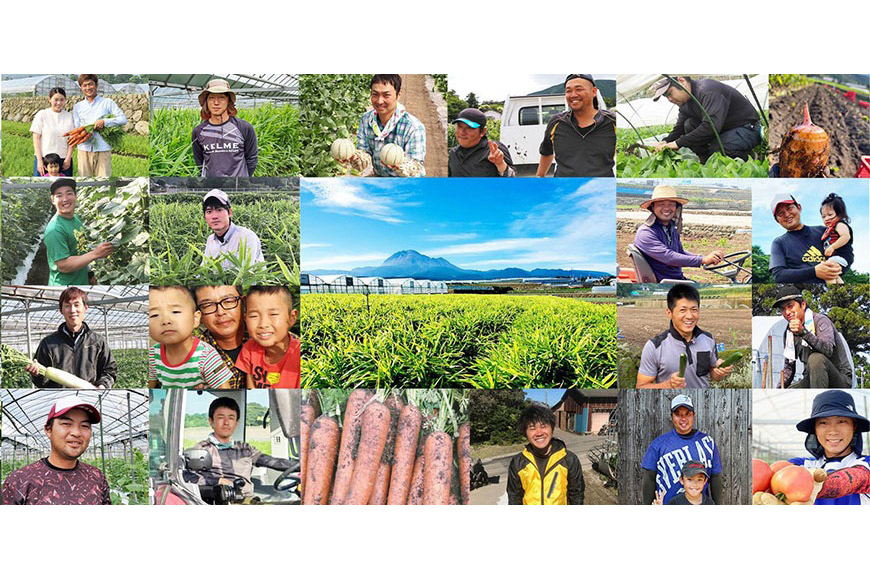 AG034　【令和8年度出荷分】5月下旬から出荷！「朝どれバイカラーコーン！」L×11～15本セット