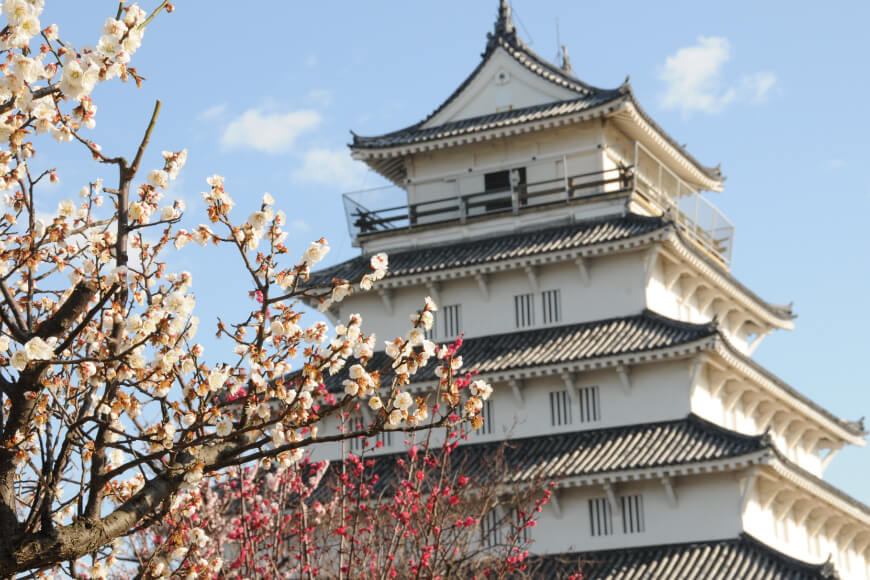 DF228【長崎限定】島原城の梅を使った「梅ドロップス」 3袋 [ あめ 飴 梅 うめ ウメ 限定 サクマドロップス コラボ 3袋 長崎県 島原市 ] 