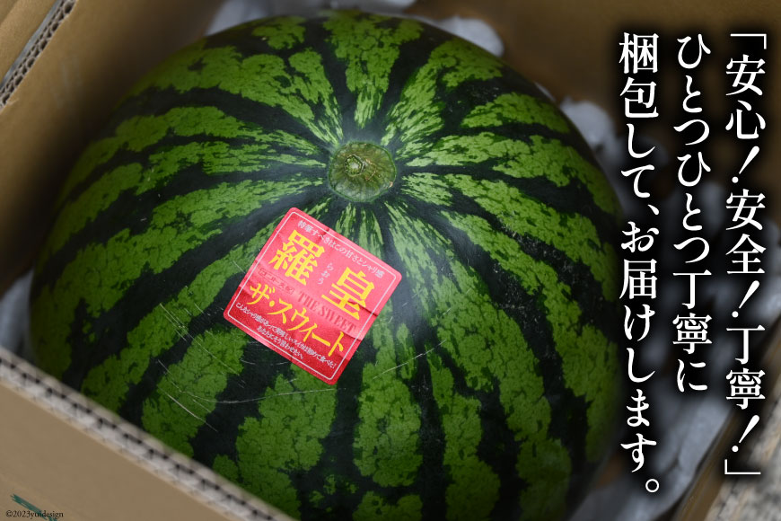 CH055【令和9年度出荷分】訳あり 大玉スイカ～羅皇（ラオウ）～（8kg以上）[訳アリ 先行予約 数量限定 すいか スイカ 西瓜 フルーツ 果物 長崎 長崎県 島原市]