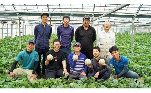 CF108【令和8年度出荷分】マルセイユメロン～島原風香～（4L×2玉）[農事組合法人　『舞岳の里』生産組合 長崎県 島原市 CF108] メロン 赤肉 果物 くだもの フルーツ 産地直送