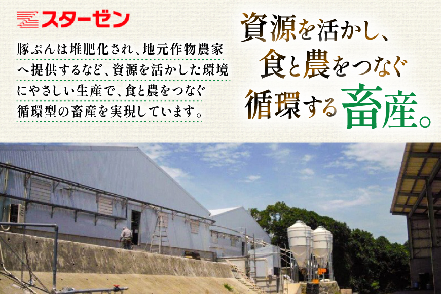 AJ666 島原育ちの豚肉セット 計4.5kg [ 豚肉 ぶた 豚ロース とんかつ用 豚バラ しゃぶしゃぶ 薄切り 豚小間 こま切れ 豚ミンチ セット 小分け バラエティ スターゼン株式会社 長崎県 島原市]