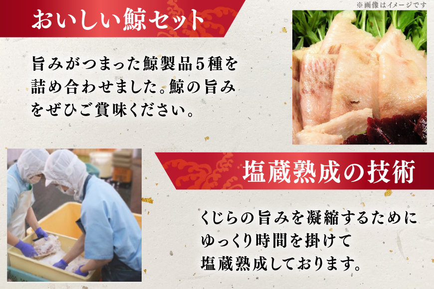 BJ155 美味しい 鯨 5種詰め合わせBセット 計520g( 大和煮 オバ ベーコンスライス 湯かけくじら さえずりスライス )[ くじら クジラ 鯨肉 湯引き 簡単調理 おつまみ 肴 珍味 日野商店 長崎県 島原市 ]        