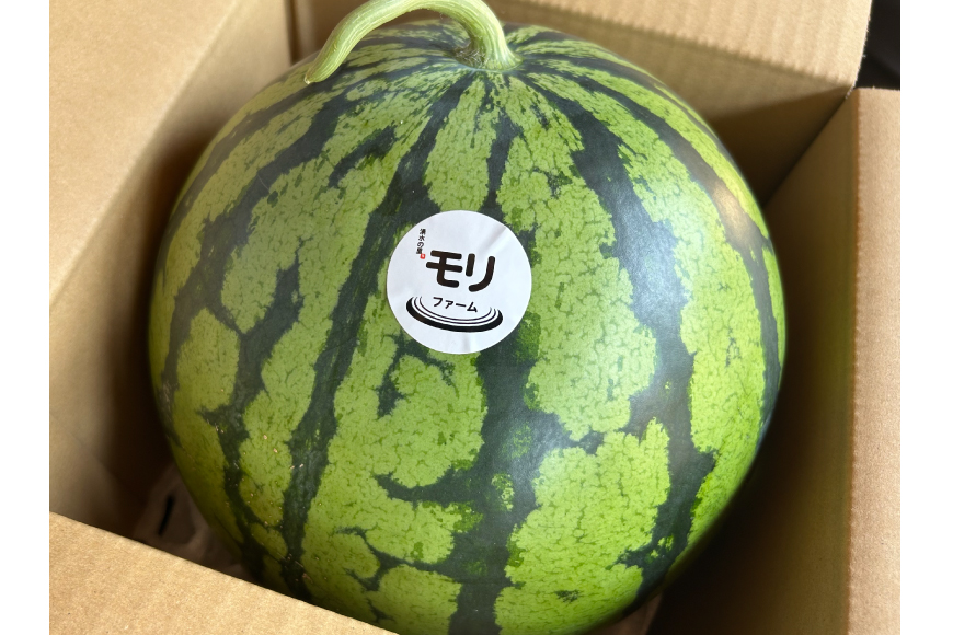 AJ455 【令和8年度出荷分】 湧水の里 モリファーム 赤玉 スイカ ラオウ まつりばやし 3L 8〜10kg 1玉 [ 先行予約 数量限定 すいか スイカ 西瓜 フルーツ 果物 長崎 長崎県 島原市 ]
