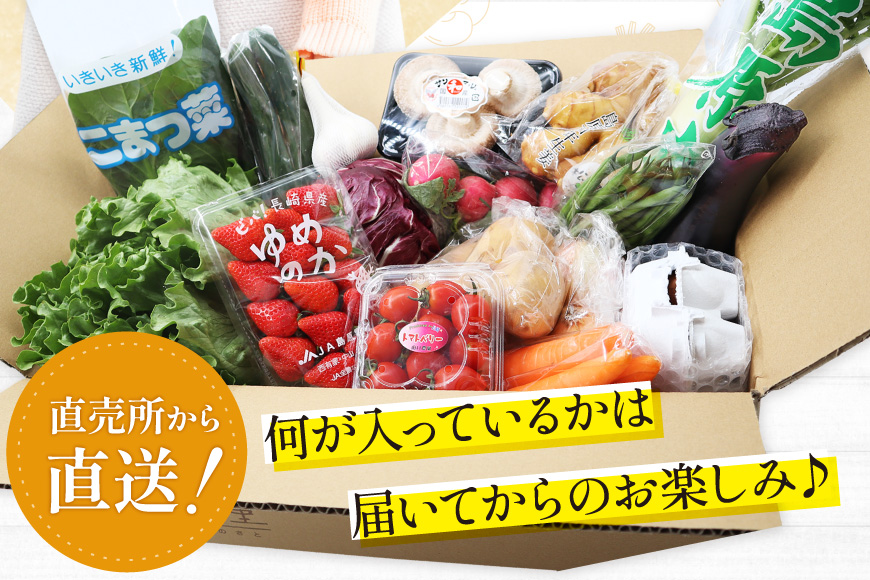 BD158 【3回定期便】 野菜・フルーツ・卵 旬のおまかせセット （野菜･フルーツ13～16種、卵6玉） [ 野菜セット 野菜 フルーツ 果物 たまご 鶏卵 産地直送 厳選 長崎県 島原市 送料無料]