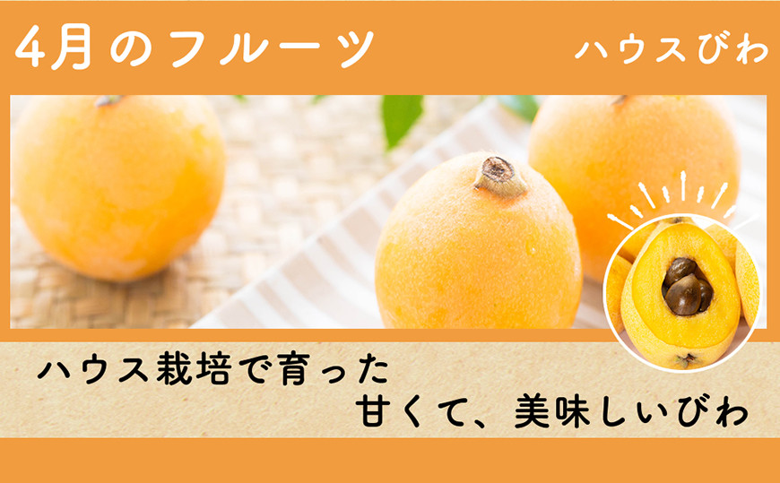 DH106 【令和9年度出荷分】【春〜夏季】フルーツ定期便（全4回） ハウスびわ 小玉スイカ 小玉メロン 梨 [ 果物 フルーツ びわ すいか メロン ナシ 長崎県 島原市 ]