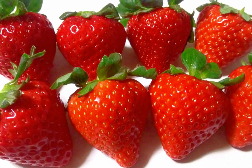 AJ649 長崎県知事賞受賞【厳選いちご】「恋みのり (2L～3L)」260g×4パック＜1～5月にお届け＞ [ 苺 イチゴ こいみのり カンベリー KanBerry 菅園芸 長崎県 島原市 ]