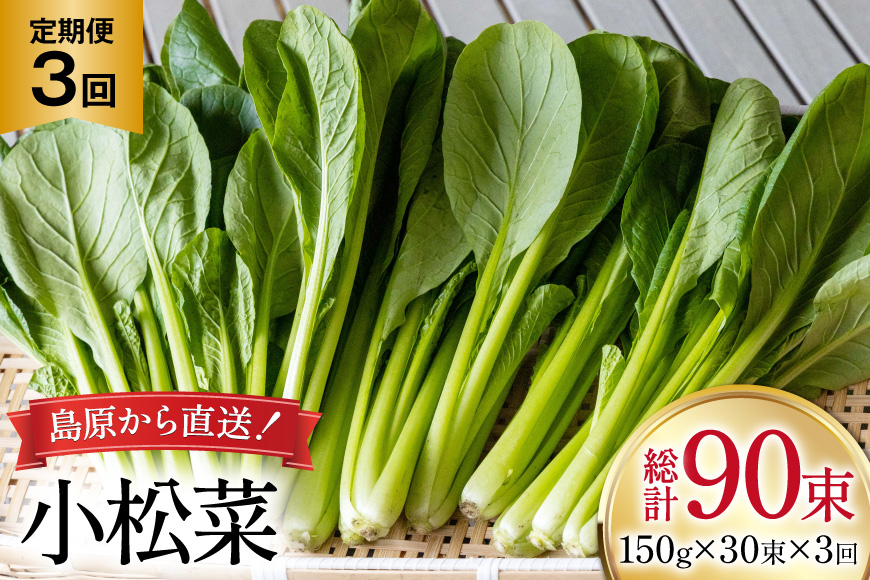 AI332 定期便 3回 小松菜 30束 [ 野菜 こまつな やさい 冷蔵 葉物野菜 田中農園 長崎県 島原市 ]