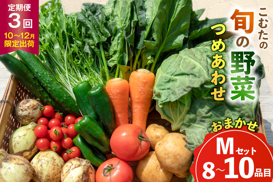 AJ433 【3回定期便】【10〜12月限定出荷】こむたの旬の野菜 (8〜10品目) おまかせMセット [ 野菜 やさい 旬 定期便 野菜セット 種類 人気 オススメ 新鮮 詰め合わせ 詰合せ こむた 小無田 青果 長崎県 島原市 ]