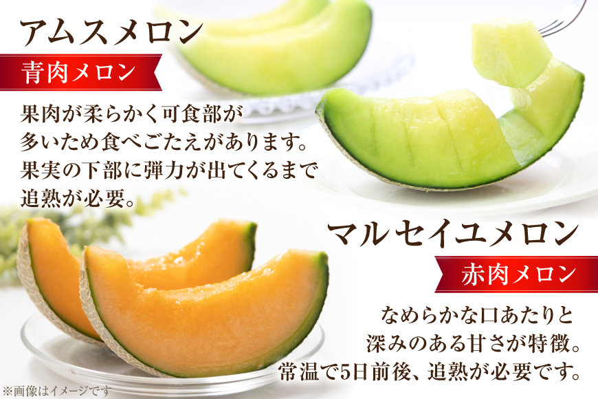 CG083 フルーツ 定期便 全4回 厳選！島原の人気フルーツ定期便 [ 旬 果物 詰め合わせ 食べ比べ セット いちご メロン すいか キウイ 長崎県 島原市 ]