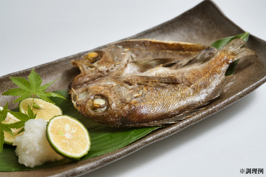 AJ718 真鯛フィーレ （ 切り身 約150g×3パック ) 干物 セット 6〜8匹 （ 3〜5種類 ）[干物セット 詰め合わせ 真鯛 まだい 鯛 タイ 天然 鮮魚 切り身 魚 白身魚 新鮮 骨なし 骨取り 小分け 手軽 真空パック 国産 株式会社 入千代商店 長崎県 島原市]