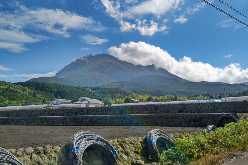 【令和8年度出荷分】BE275 黒小玉スイカ「ひとりじめBonBon」 5kg(1.7kg以上×2~3玉) ～名水百選の里 島原産～ [ Bunkou Farms 島原 合同会社 島原市 BE275 ]