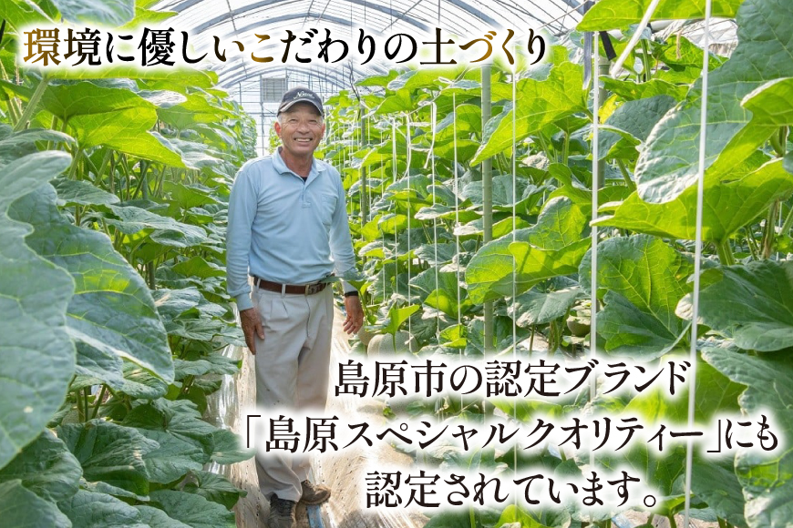 【期間限定発送】AB010 その道一筋の生産者がじっくり丁寧に育てた マスクメロン 1玉入