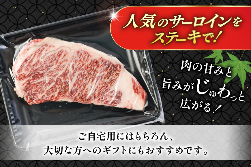 AK024 長崎和牛 サーロイン ステーキ 250g 2パック 計500g [ 牛肉 肉 和牛 ステーキ ロース サーロインステーキ BBQ バーベキュー 焼肉 アウトドア 長崎県 島原市 ]
