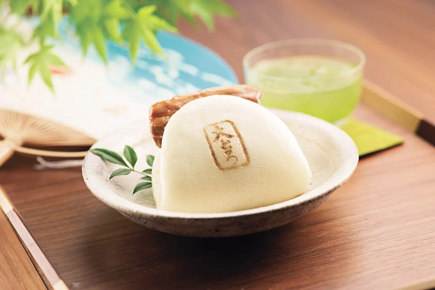 BJ073 岩崎本舗 【12回定期便】角煮まんじゅう 8個入 (箱)＜奇数月＞ ・ 大とろ角煮まんじゅう 8個入 (箱)＜偶数月＞ [長崎県 島原市]