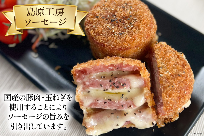 AI066 特大！ ソーセージ 2種2本 食べ比べ セット（島原ハムポークソーセージ800g×1本 島原工房ソーセージ770g×1本） [ ハム ソーセージ 肉 豚肉 おつまみ 国産 長崎県 島原市 ]