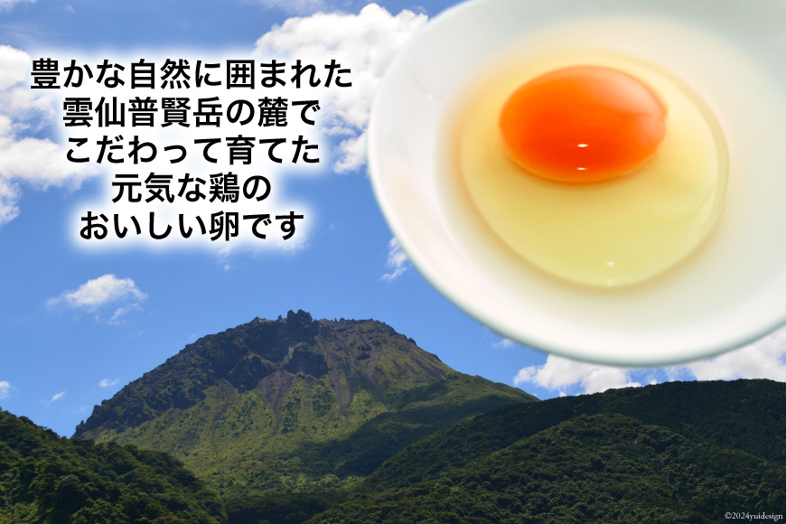 AI033 12回 定期便 雲仙たまご 40個 (10個入り×4パック) (37個＋割れ補償3個入り) [ 卵 たまご 生卵 鶏卵 赤卵 玉子 新鮮 塚ちゃん雲仙たまご村 長崎県 島原市 ]