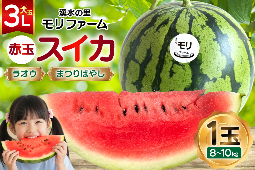 AJ455 【令和8年度出荷分】 湧水の里 モリファーム 赤玉 スイカ ラオウ まつりばやし 3L 8〜10kg 1玉 [ 先行予約 数量限定 すいか スイカ 西瓜 フルーツ 果物 長崎 長崎県 島原市 ]