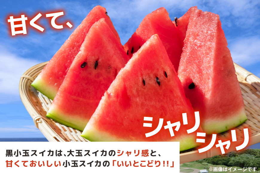 【令和8年度出荷分】BE275 黒小玉スイカ「ひとりじめBonBon」 5kg(1.7kg以上×2~3玉) ～名水百選の里 島原産～ [ Bunkou Farms 島原 合同会社 島原市 BE275 ]