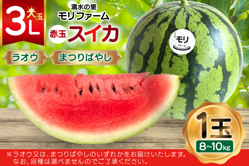 AJ455 【令和8年度出荷分】 湧水の里 モリファーム 赤玉 スイカ ラオウ まつりばやし 3L 8〜10kg 1玉 [ 先行予約 数量限定 すいか スイカ 西瓜 フルーツ 果物 長崎 長崎県 島原市 ]