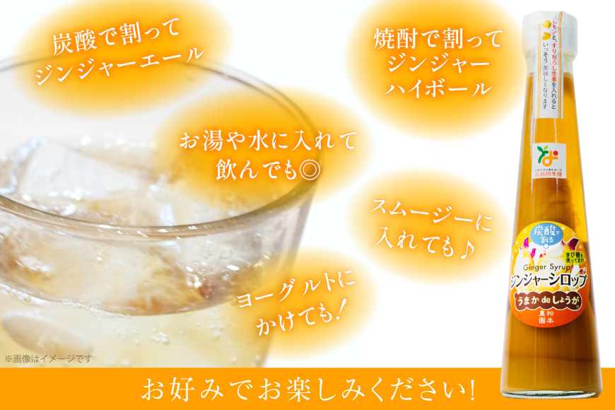 BI203 酢しょうが 230g ジンジャーシロップ 250g 計2本 480g [ 生姜 しょうが ショウガ ジンジャーエール シロップ セット 調味料 酢 松本農園 人作 長崎県 島原市 ]