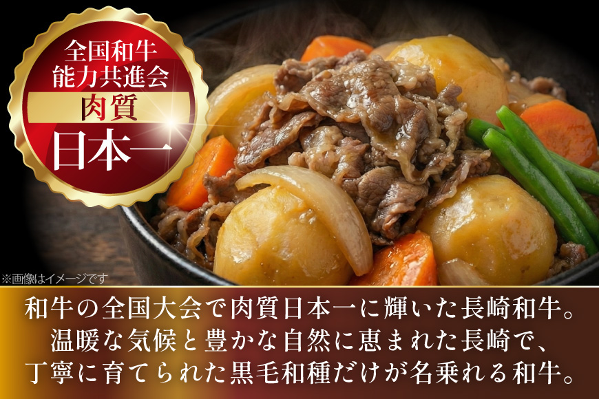 AJ577 【3回定期便】長崎和牛 切り落とし (もも・バラ) 約1kg (500g×2P) [ 肉 牛肉 和牛 高級 おいしい ステーキ肉 まるしん商会 黒牛 長崎県 島原市 ]