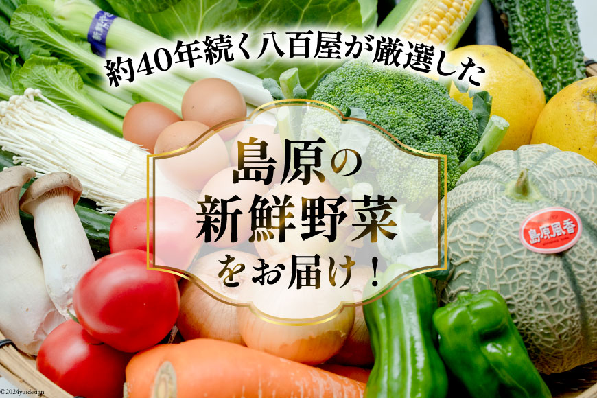 BF058 【6回定期便】旬の野菜・フルーツ (12〜14品目)・卵 (6個) おまかせ セット【 野菜 果物 卵 やさい くだもの 果物 タマゴ たまご 詰め合わせ 江戸屋 長崎県 島原市 】