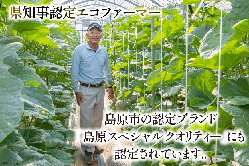 【期間限定発送】AB053 その道一筋の生産者がじっくり丁寧に育てた マスクメロン 2玉 特選 大玉 桐箱