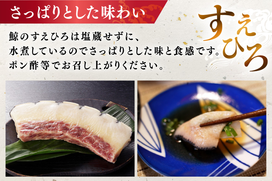 BJ144 すえひろ ブロック 100g×5個セット 計500g [ くじら クジラ 鯨肉 湯引き 簡単調理 おつまみ 肴 珍味 小分け 日野商店 長崎県 島原市 ]