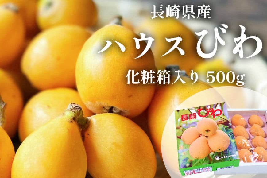 AH093 【先行受付】長崎県産 ハウスびわ 約500g 化粧箱入り 【 フルーツ 果物 くだもの びわ ビワ 枇杷 数量限定 季節限定 初夏 冷蔵 長崎県 島原市 】