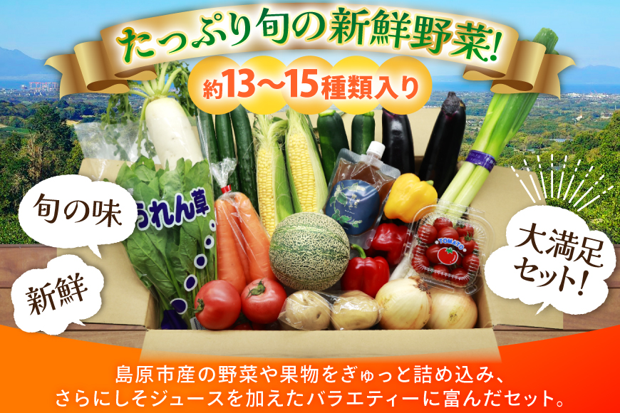 AJ315 季節の野菜・果物セット 13〜15品 しそジュース付き [ 野菜 詰合せ 長崎県 島原市 ]
