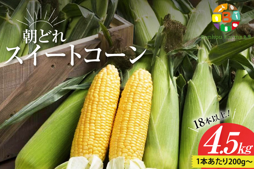 BG035　【令和8年度出荷分】5月下旬から出荷！ 朝どれ スイートコーン 200g以上×18本以上 4.5kg ～名水百選の里 島原産～