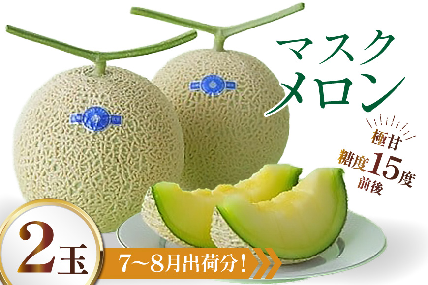 AJ651 【令和8年7-8月出荷分】 堀農園 マスクメロン 2玉 [ メロン めろん 青肉メロン 黄緑 果物 フルーツ おいしい 甘い 堀農園 長崎県 島原市 ]