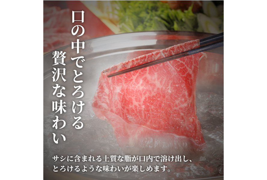 AI276 長崎和牛 半頭分買い 一括納品 [ 肉 和牛 牛肉 Giverichホールディングス 長崎県 島原市 ]