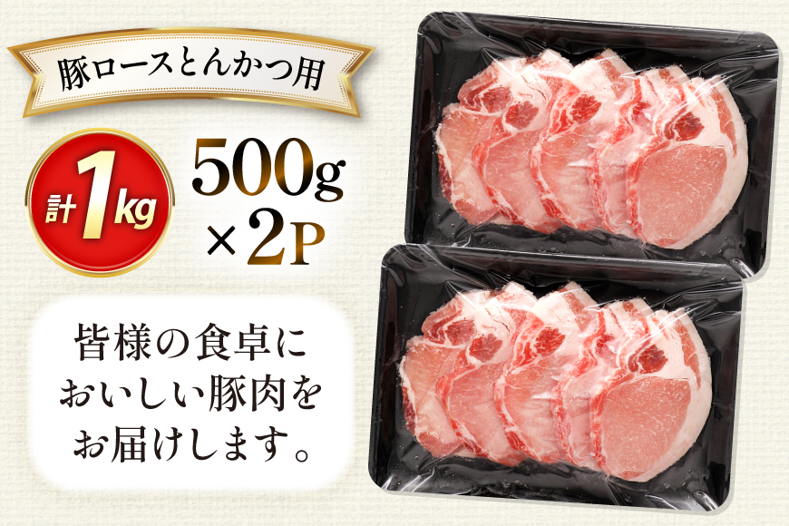 AK032 豚ロース とんかつ用 500g 2パック 計1kg [ 豚肉 ぶた肉 ロース 小分け 肉 お肉 とんかつ 1キロ BBQ バーベキュー 焼肉 アウトドア 1キロ スターゼン 長崎県 島原市 ]