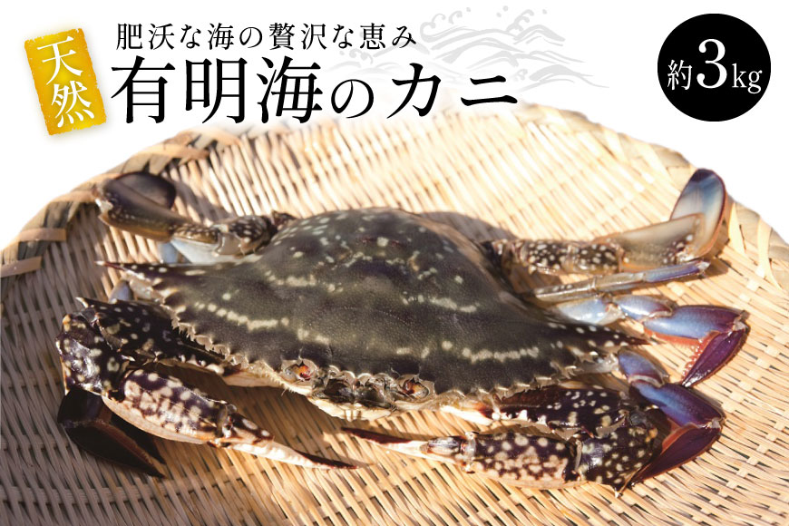 BA061 天然の好漁場・肥沃な海の贅沢な恵み 有明海のカニ [ かに カニ 蟹 ワタリガニ 渡り蟹 ガネ 冷蔵 島原漁業協同組合 長崎県 島原市 ]