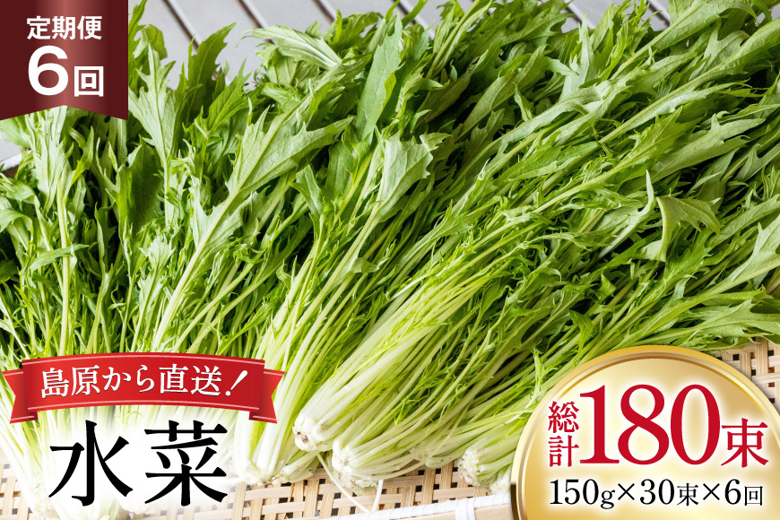 AI339 定期便 6回 水菜 30束 [ 野菜 みずな サラダ やさい 冷蔵 葉物野菜 田中農園 長崎県 島原市 ]