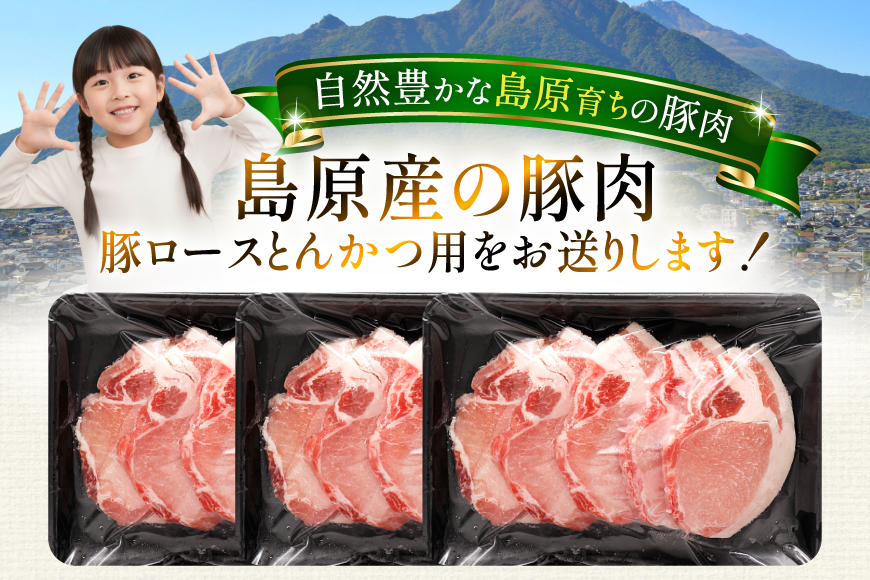AK033 豚ロース とんかつ用 500g 3パック 計1.5kg [ 豚肉 ロース 小分け 肉 お肉 BBQ バーベキュー 焼肉 アウトドア スターゼン 長崎県 島原市 ]