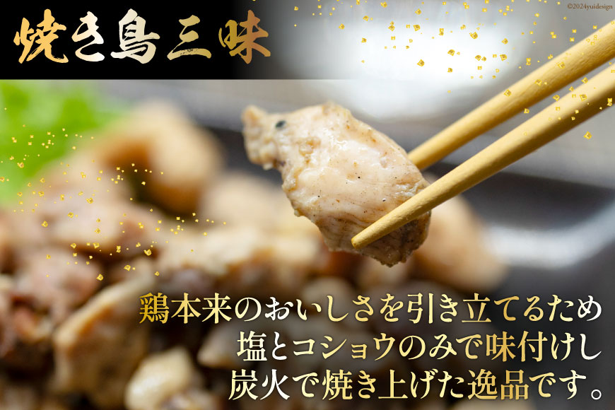 AI055 焼き鳥 定期便 焼き鳥三昧 塩味 180g 6袋 3回 総計 18袋 [ 炭火焼 炭火焼き やきとり 炭火焼き鳥 炭火焼鳥 鶏 焼鳥 セット 塩 塚ちゃん雲仙たまご村 長崎県 島原市 ]