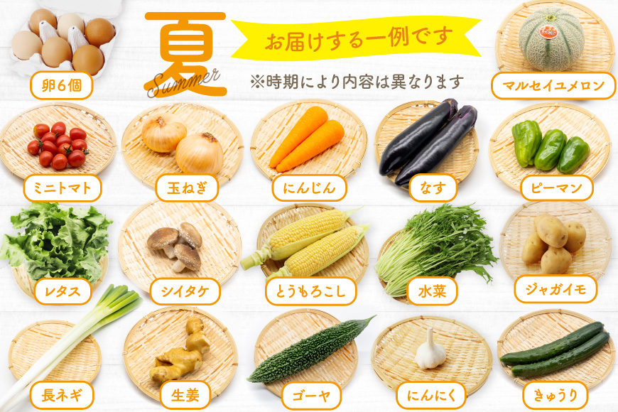 BD158 【3回定期便】 野菜・フルーツ・卵 旬のおまかせセット （野菜･フルーツ13～16種、卵6玉） [ 野菜セット 野菜 フルーツ 果物 たまご 鶏卵 産地直送 厳選 長崎県 島原市 送料無料]