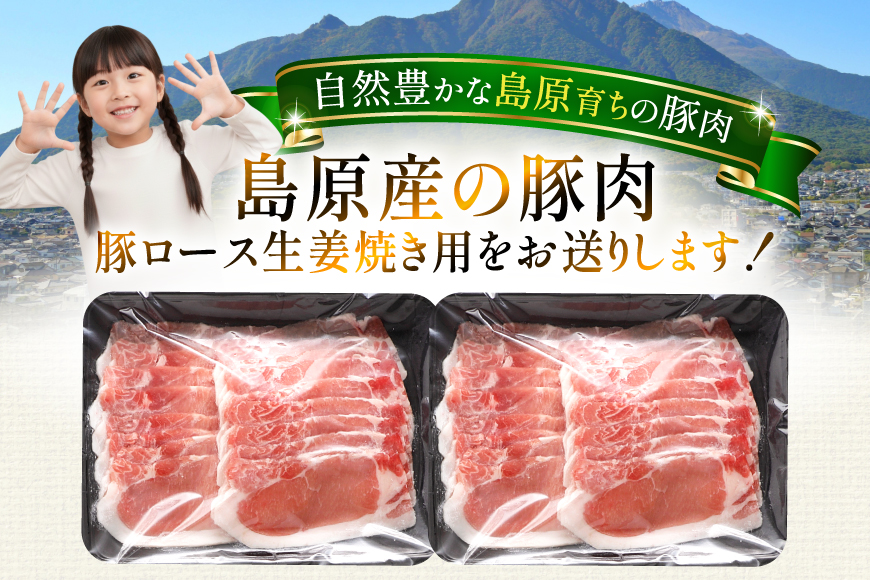 AK030 豚ロース 生姜焼き用 500g 2パック 計1kg [ 豚肉 ぶた肉 ロース 小分け 肉 お肉 生姜焼き しょうが焼き BBQ バーベキュー 焼肉 アウトドア 1キロ スターゼン 長崎県 島原市 ]